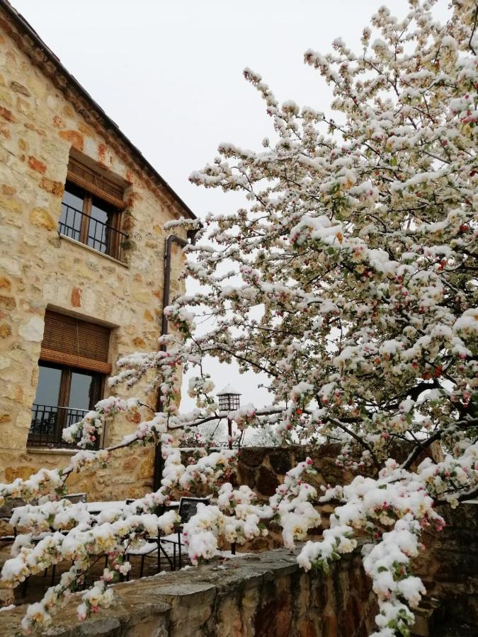 El Rinconcillo De Torreiglesias Guest House Exterior photo